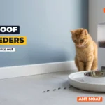 White automatic cat feeder standing in a wide water moat tray with a line of ants stopped at its edge and a ginger cat watching, on a tiled floor