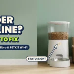 White automatic pet feeder with an amber status light beside a Wi-Fi router, with a tabby cat tilting its head, against a pine-green wall