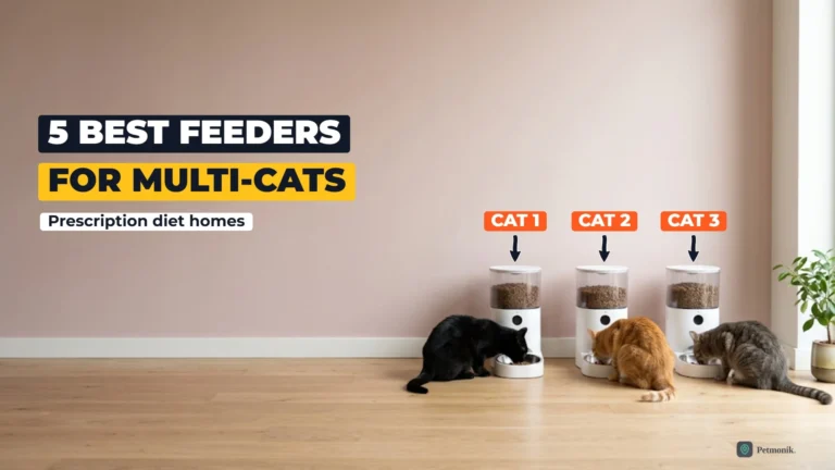 Three cats, black, ginger and grey tabby, each eating from its own white automatic feeder in a row against a blush-pink wall