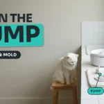 Disassembled pet water fountain pump, filter and brush laid out on a towel on a tiled counter with a white cat on a wooden stool, against a greige wall