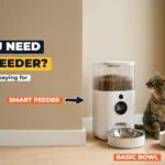 White smart pet feeder with a camera and display beside a plain ceramic bowl, with a tabby cat looking at them in a sunlit living room corner