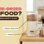 Automatic pet feeder filled with freeze-dried raw nuggets next to a glass jar of the same nuggets, with a tuxedo cat on a wooden kitchen counter, against a butter-yellow wall