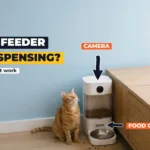 White smart pet feeder with a camera on top and an empty food bowl, with a ginger cat looking up at it in a kitchen with a powder-blue wall
