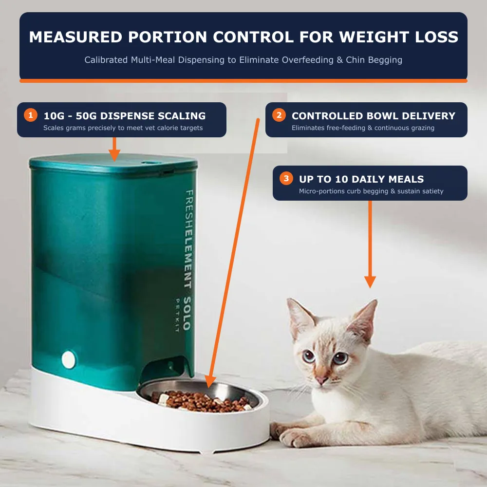 PETKIT Fresh Element Solo automatic feeder demonstrating measured gram portion dispensing, up to 10 daily meals, and controlled bowl delivery for cat weight loss