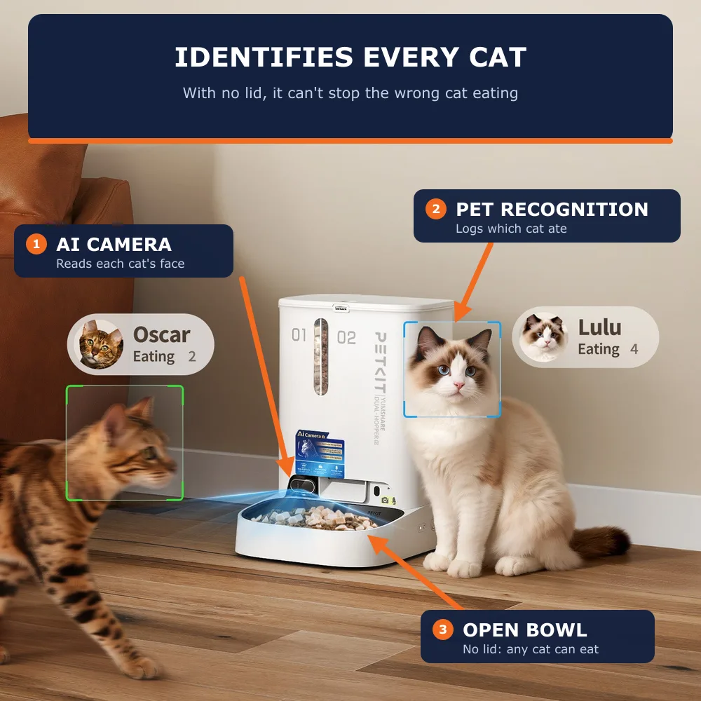 PETKIT YumShare Dual-hopper 2 camera feeder showing multi-cat face recognition and open food bowl with no locking lid
