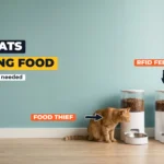 Ginger cat eyeing the food bowl of a black cat eating at a second white automatic feeder, two feeders side by side against a teal wall