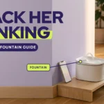 Grey cat wearing a collar tag approaching a white smart pet water fountain on a wooden riser with a smartphone beside it, against a lavender wall