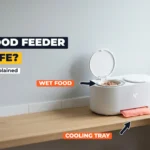 White wet food automatic feeder with an open food dish and a coral cooling ice pack, with a ginger cat looking up at it from a stool